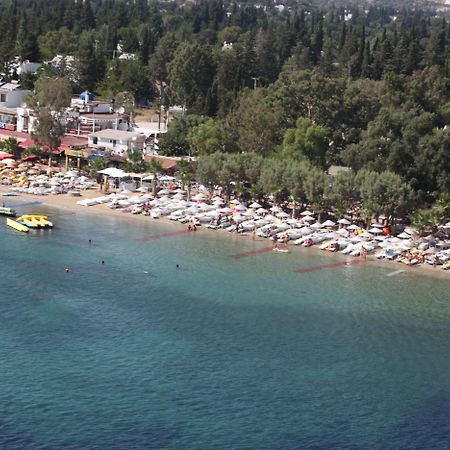 Okaliptus Otel Bitez Exterior photo