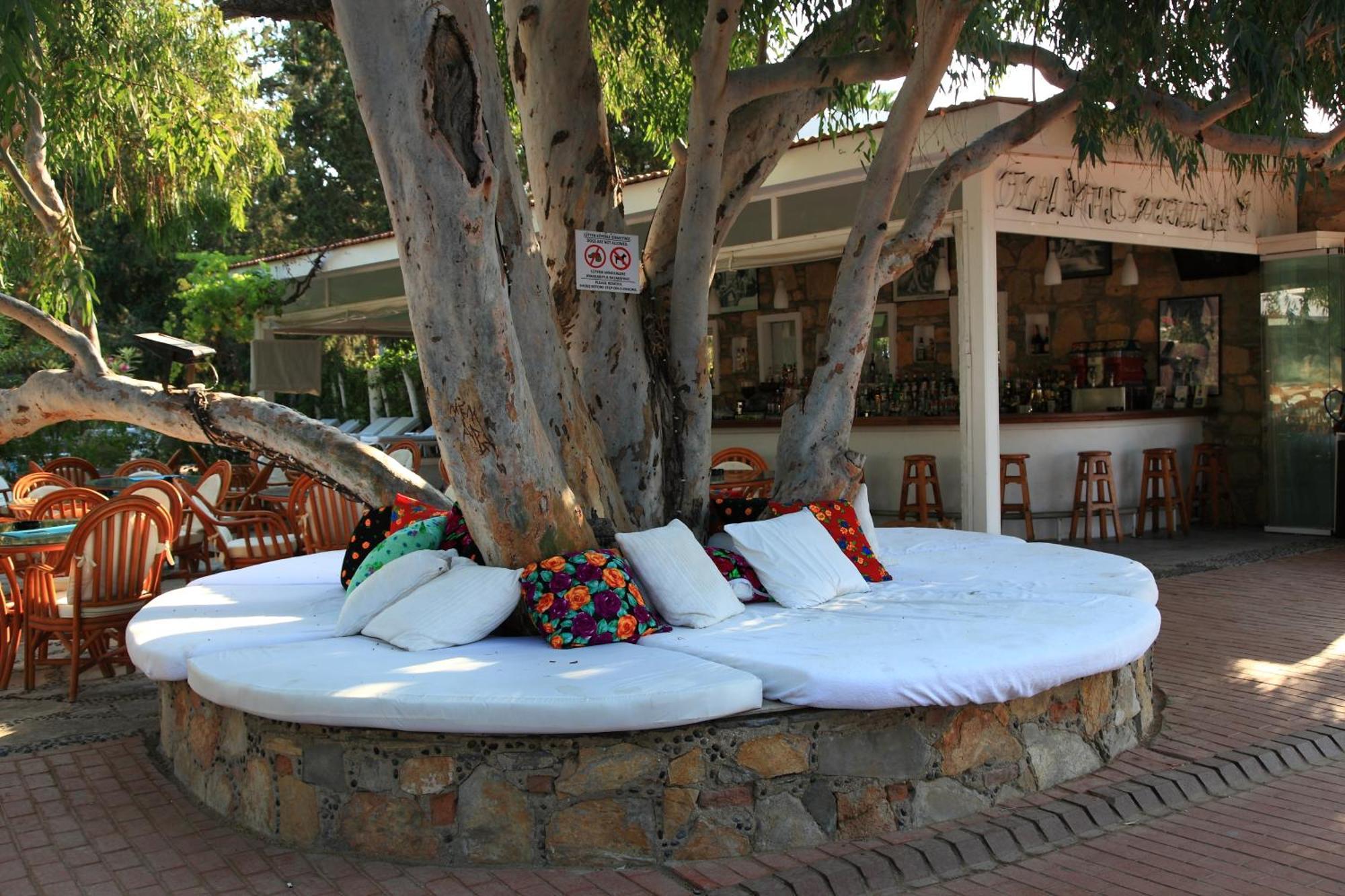 Okaliptus Otel Bitez Exterior photo